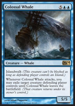 Colossal Whale 