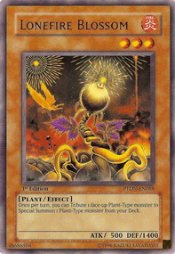 Lonefire Blossom 