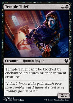 Temple Thief 
