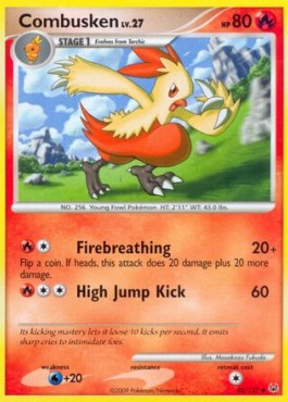 Combusken Lv.27 