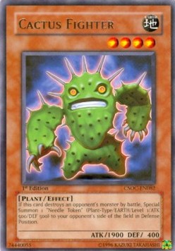 Cactus Fighter 
