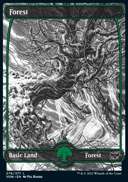 Forest (V.1) 