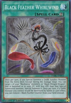 Black Feather Whirlwind 