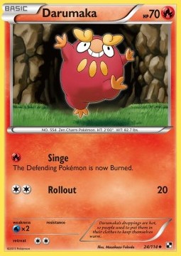 Darumaka (Singe) 