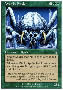 Woolly Spider 