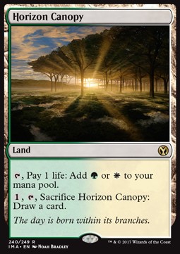 Horizon Canopy 