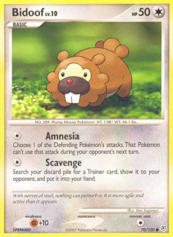 Bidoof Lv.10 