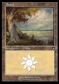 Plains (V.2) 