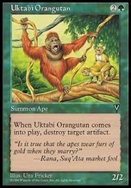 Uktabi Orangutan 