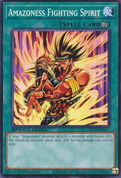 Amazoness Fighting Spirit 