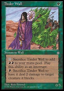 Tinder Wall - Ice Age 