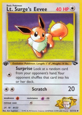 Lt. Surge's Eevee 