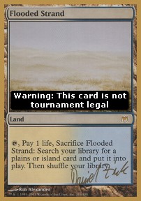 Flooded Strand - WCD 2003 Daniel Zink 