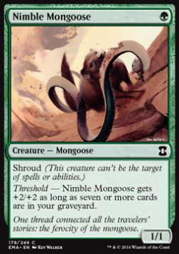 Nimble Mongoose 