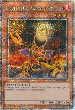 Lonefire Blossom (V.5 Quarter Century Secret Rare)