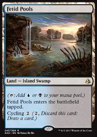 Fetid Pools 