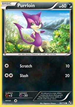 Purrloin 