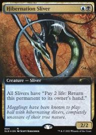 Hibernation Sliver 