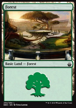 Forest 