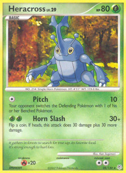 Heracross Lv.29 