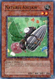 Naturia Antjaw 
