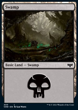 Swamp 