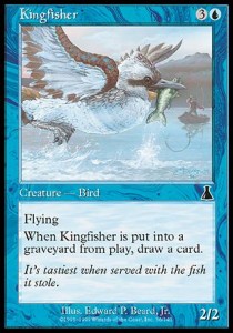 Kingfisher 