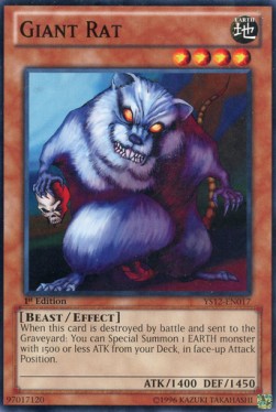 Giant Rat 