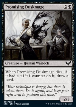 Promising Duskmage 