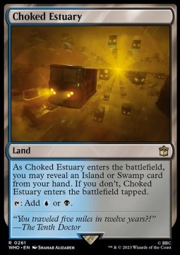 Choked Estuary 