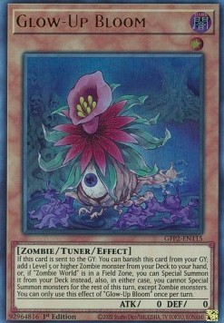 Glow-Up Bloom 