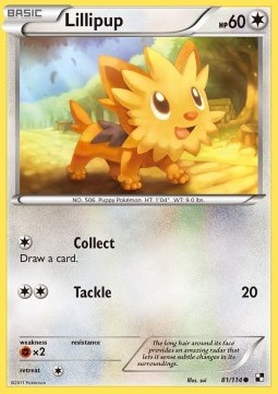 Lillipup 
