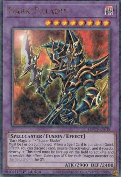 Dark Paladin 