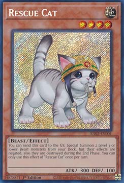 Rescue Cat (V.6 Secret Rare) 
