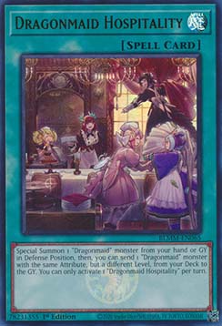 Dragonmaid Hospitality 