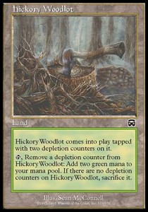 Hickory Woodlot 