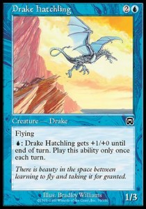 Drake Hatchling - Mercadian Masques 