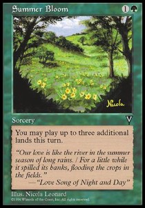 Summer Bloom 