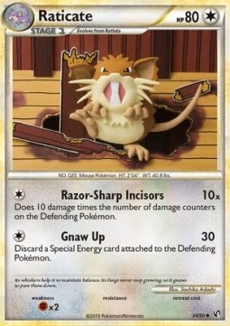Raticate 