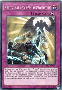 Ninjitsu Art of Super-Transformation 
