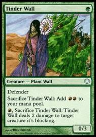 Tinder Wall 
