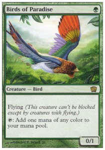 Birds of Paradise - Eighth Edition 