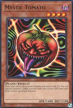 Mystic Tomato 