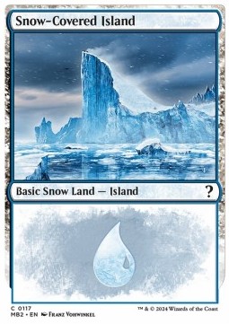 Snow Covered Island 