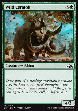 Wild Ceratok 