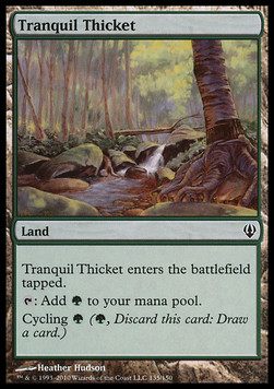 Tranquil Thicket 