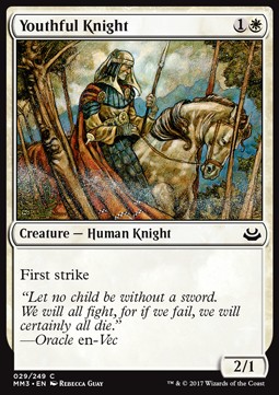 Youthful Knight 