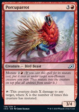 Porcuparrot 