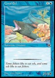 Coral Eel 
