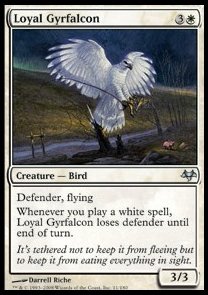 Loyal Gyrfalcon 